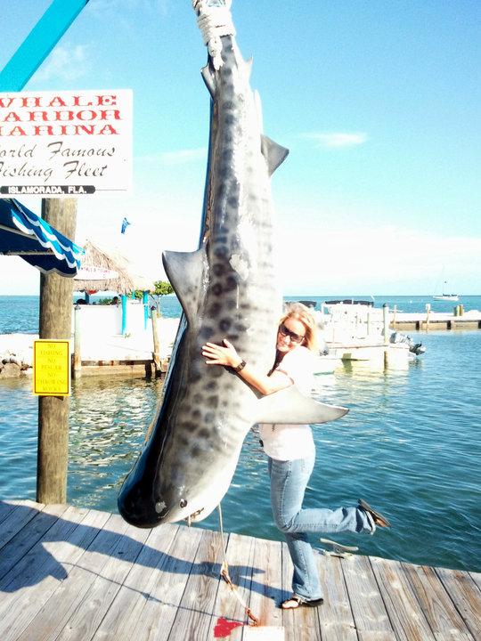 I heart Sharks!! No its not real- that would be horrible!!