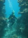Cairns Advanced Open Water