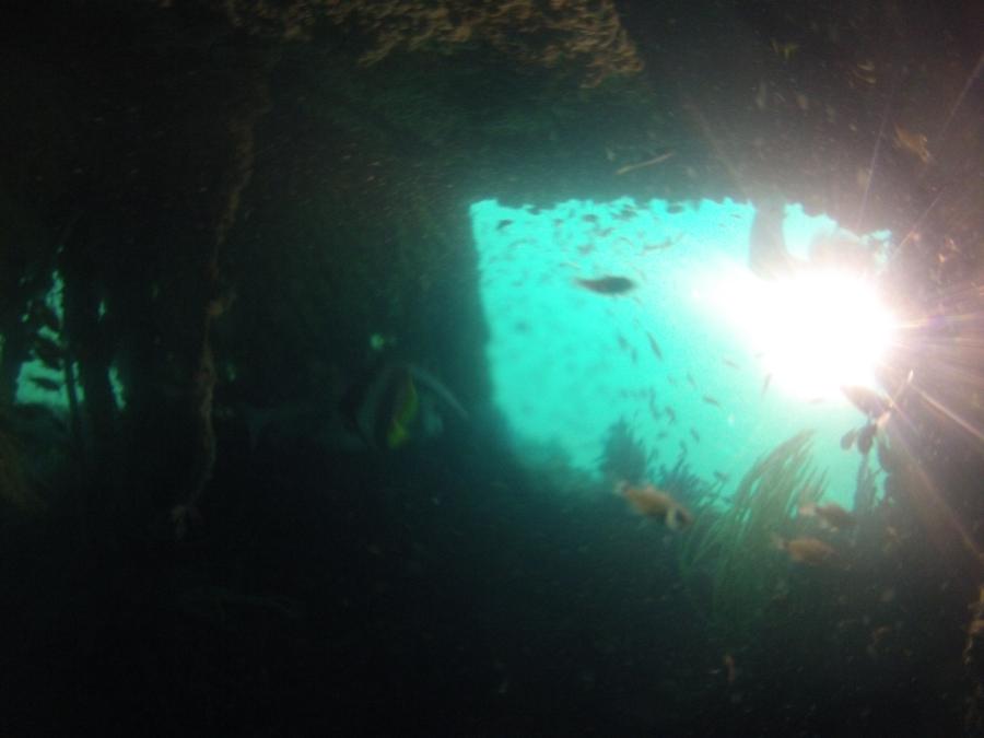thru the wreck of Inchcape 10
