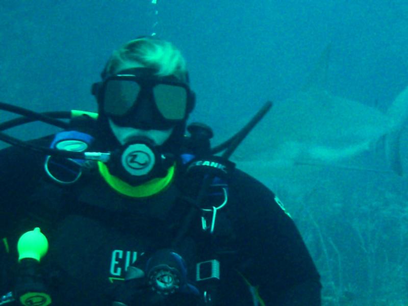 diving in the bahamas