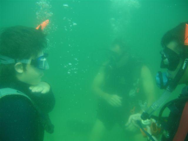 Cert. Dives