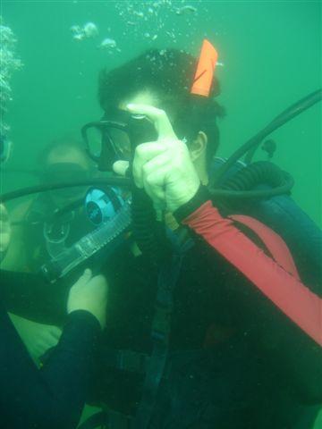 Cert. Dives