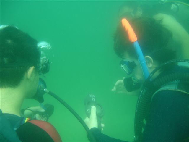 Cert. Dives