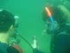 Cert. Dives