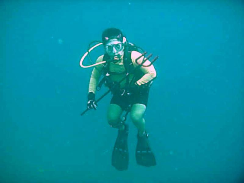 dive devil