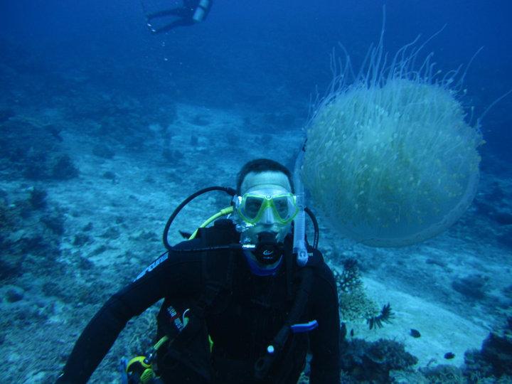 Great Barrier Reef