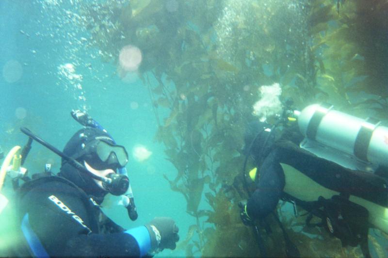 Adlai at Catalina July 2009