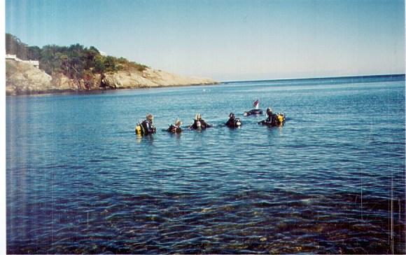 Cold Water Fun