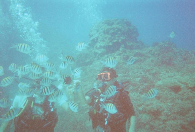 Learning to dive in Jamaica