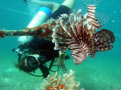me and a lion fish