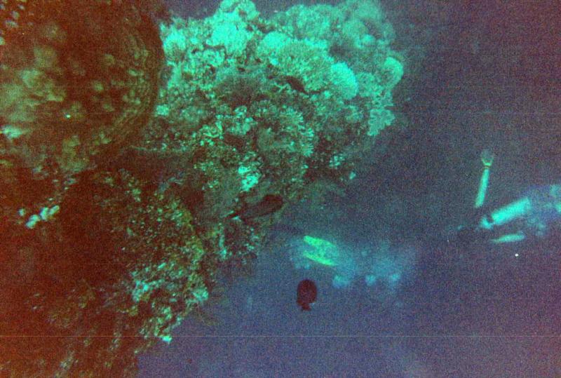 Buddies diving the Fujikawa Maru