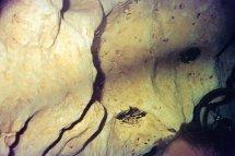 fl caves