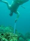 Spearfishing in Cozumel