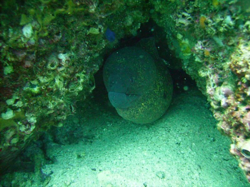 Moray, Costa Rica