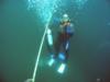 safety stop on Goldfinch Reef, Myrtle Beach, SC