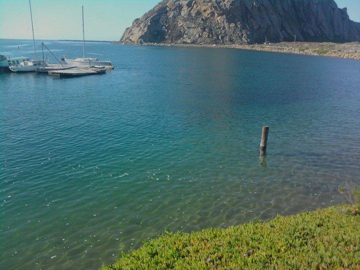 Morro Bay on a gorgeous morning at high tide