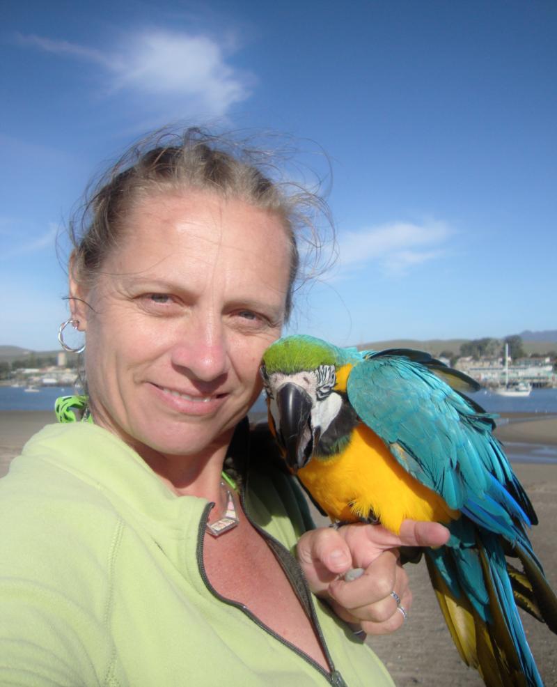 The bird and I boated out to the sand bar in Morro Bay