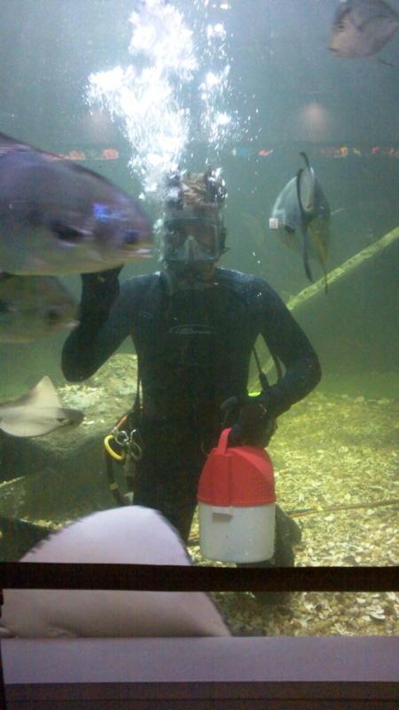 At work at the Atlantic City Aquarium