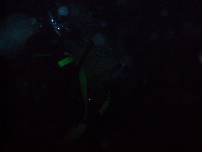 Now this IS night diving !