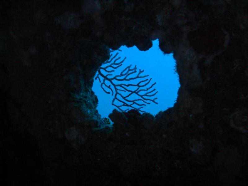 inside The Rebel, looking out a porthole...