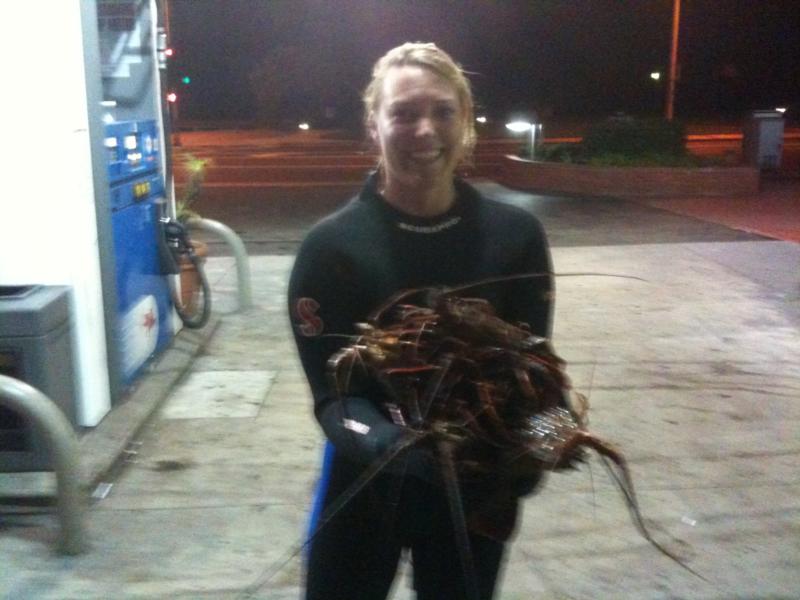 Lobsters in Laguna Beach