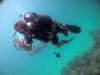 Diving in Jamaica