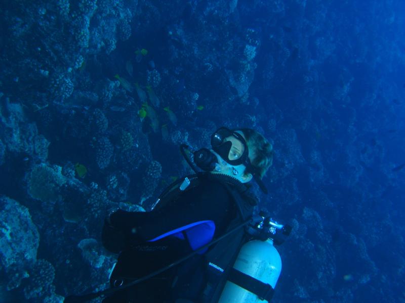 Fish Rain (Molokai)