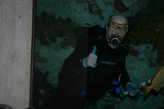 Me on Dive Team at National Aquarium in Baltimore