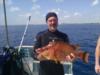 25" Hogfish