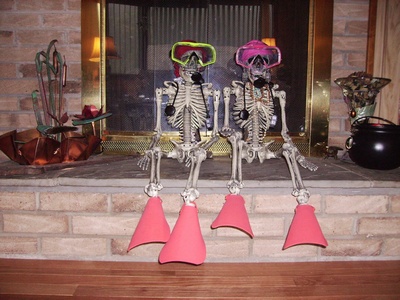 my bone divers
