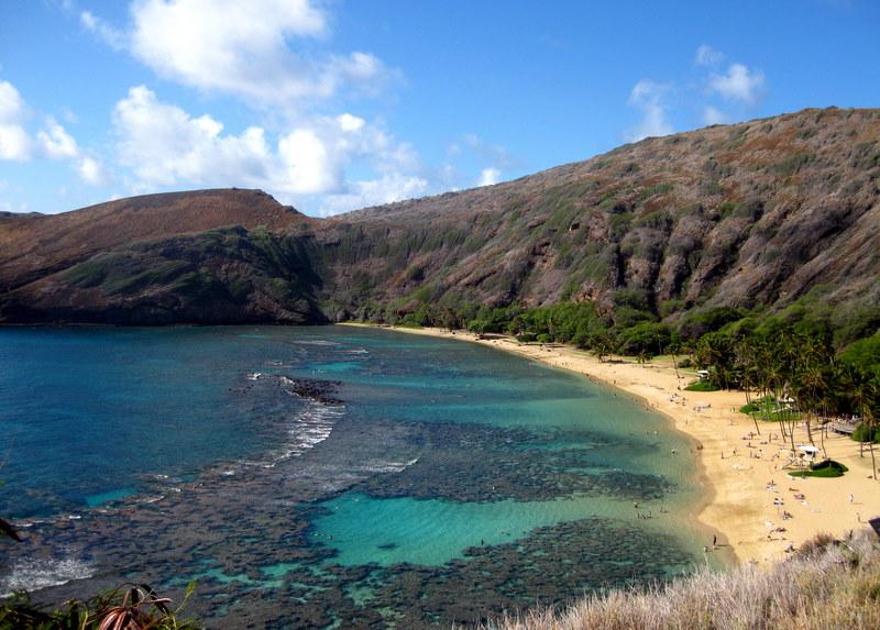 Birthday Dive @ Hanauma Bay