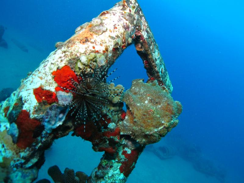 St. Anthony Wreck