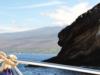 Monkey Head Molokini