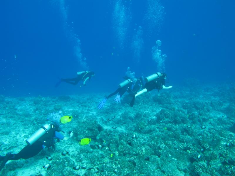 Molokini Reef