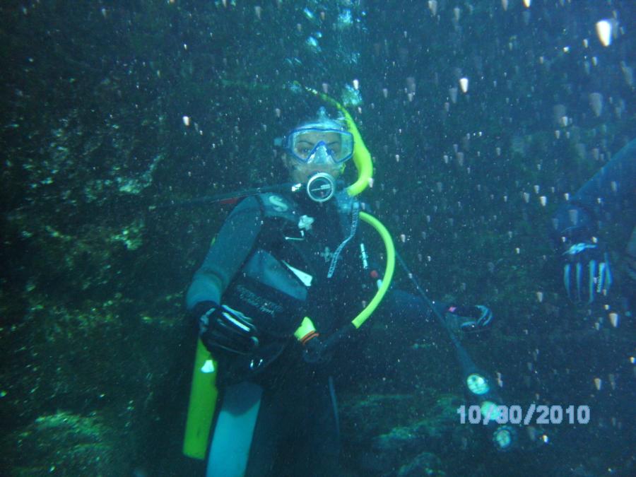 Diving Ginnie Springs