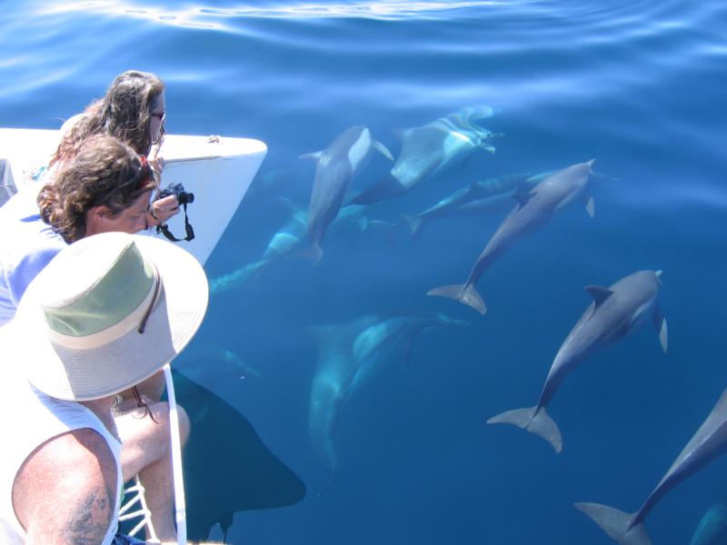 A view from the bow of MANTA