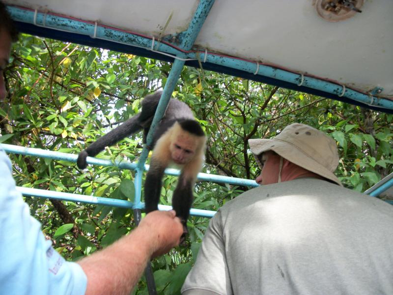 Costa Rica/Monkey on the boat