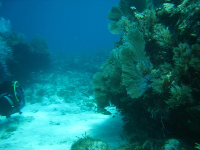 Key Largo, Florida