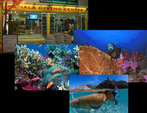 Phuket Dive Shop - Merlin Divers, Kamala, Phuket - Thailand 