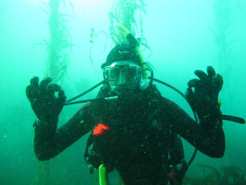 diving monterey