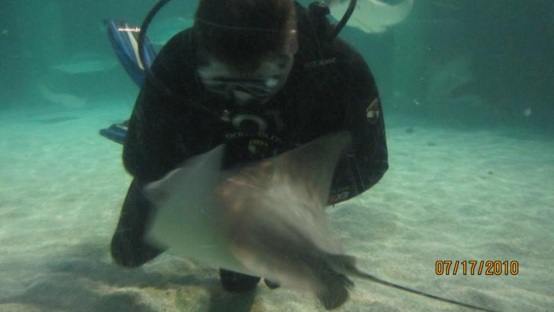 Me Diving at Baltimore national Aquarium