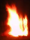 Bonfire =) the picture actually came out like this when I took it. It looks like a wolf howling =)
