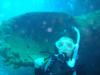 Wreck Dive in Bonaire