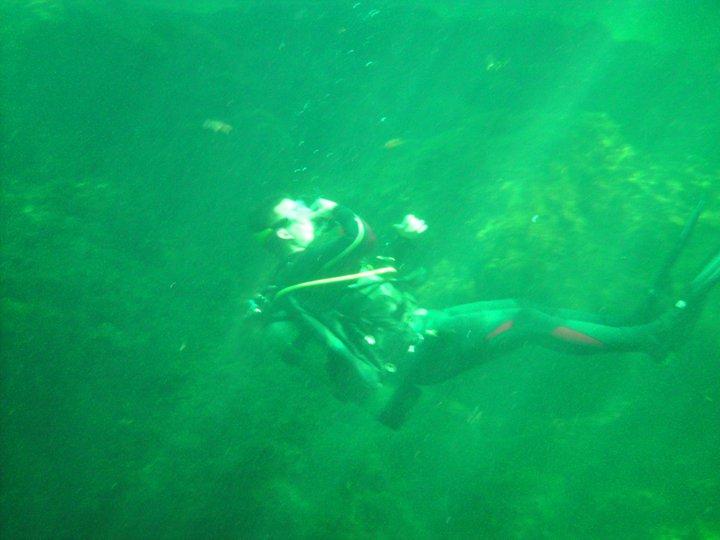 Troy Springs Dive