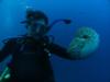 Nautilus Diving in Palau