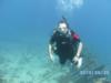 Benwood Wreck, Key Largo