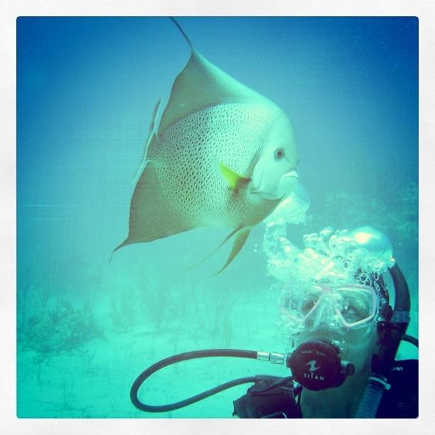 Myself and a follower :) in the Bahamas