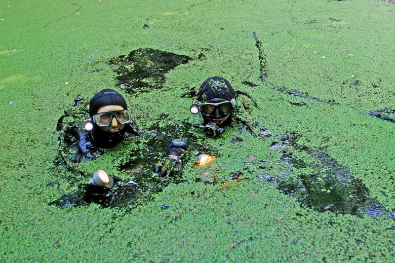 A mysteorius dive site