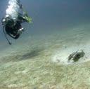 The Noula Wreck, Boca Raton, FL