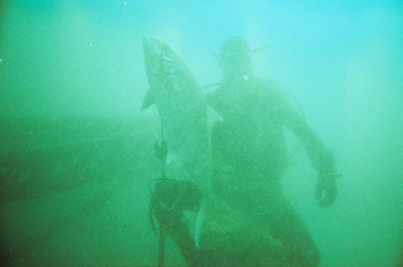 Amber Jack, Panama City